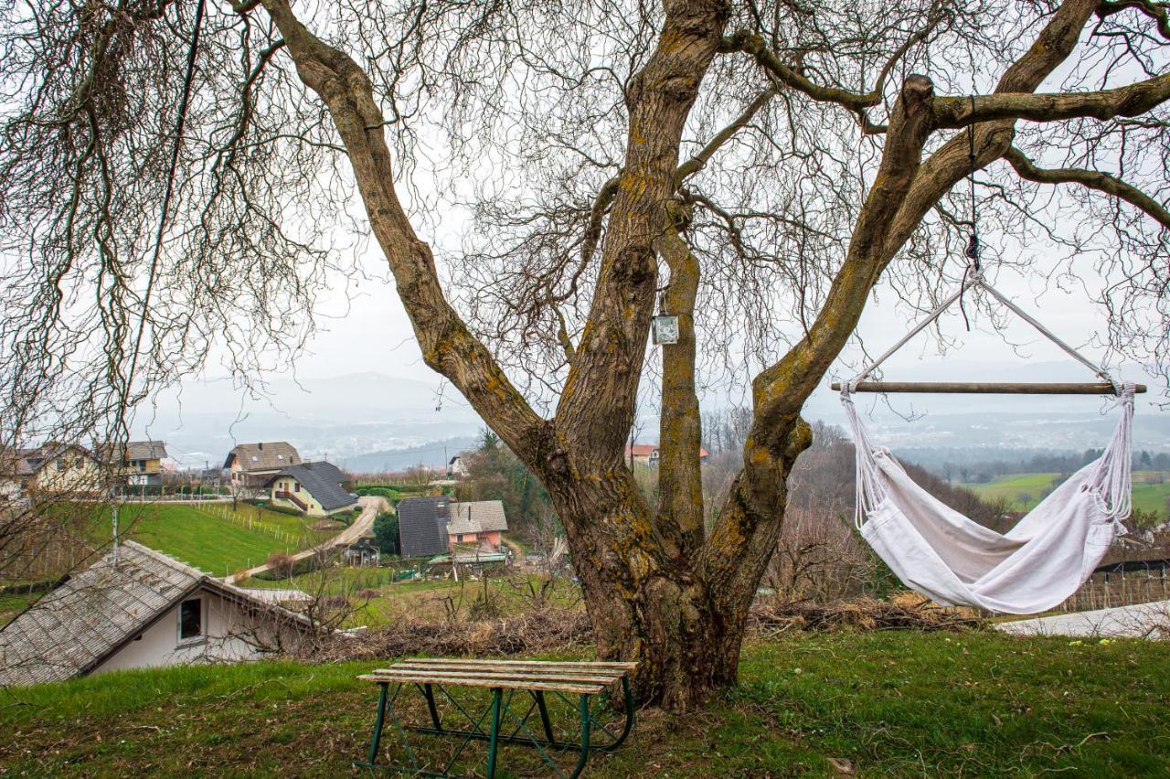 Vineyard Cottage Klemencic Novo Mesto Zewnętrze zdjęcie