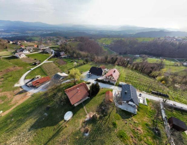 Vineyard Cottage Klemencic Novo Mesto Zewnętrze zdjęcie