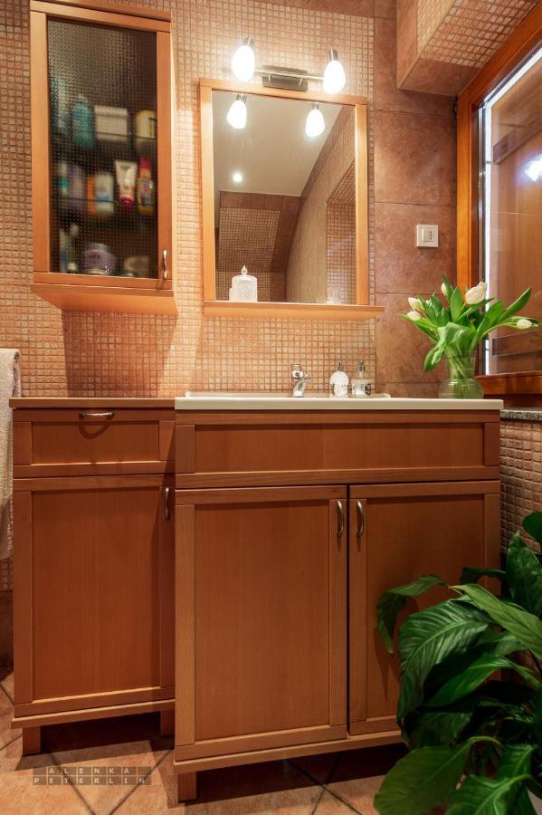 Vineyard Cottage Klemencic Novo Mesto Zewnętrze zdjęcie