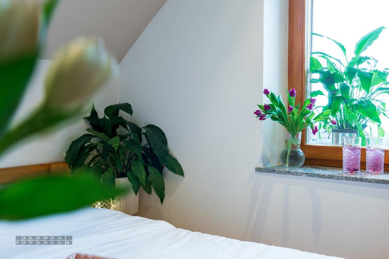 Vineyard Cottage Klemencic Novo Mesto Zewnętrze zdjęcie