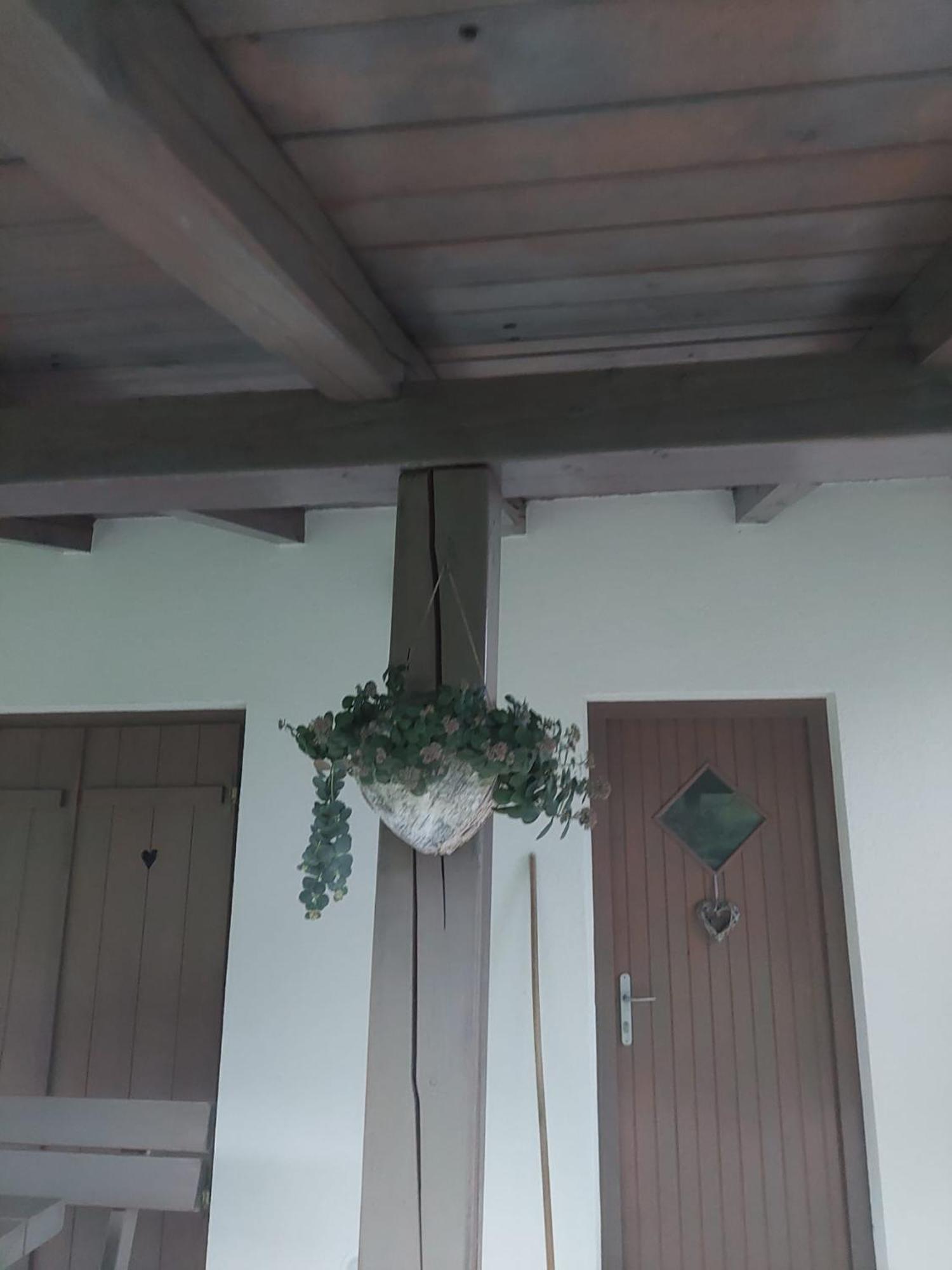 Vineyard Cottage Klemencic Novo Mesto Zewnętrze zdjęcie