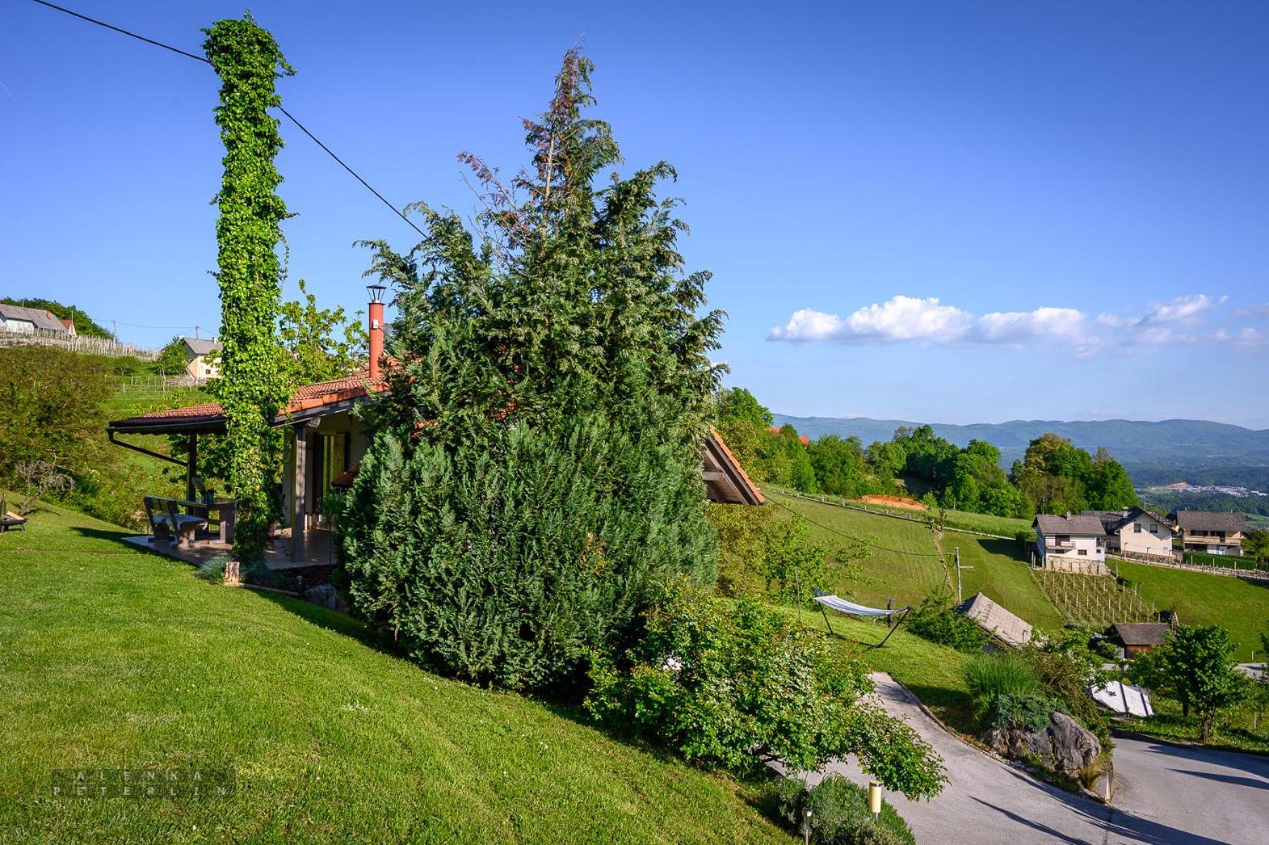 Vineyard Cottage Klemencic Novo Mesto Zewnętrze zdjęcie
