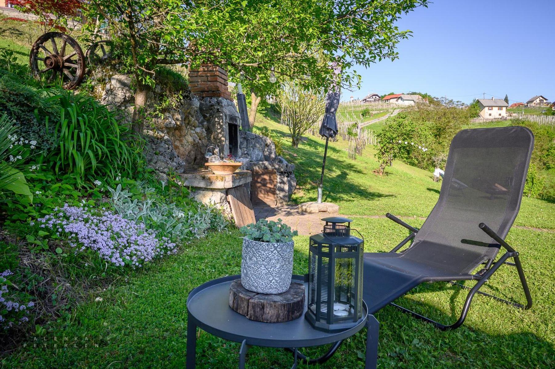 Vineyard Cottage Klemencic Novo Mesto Zewnętrze zdjęcie
