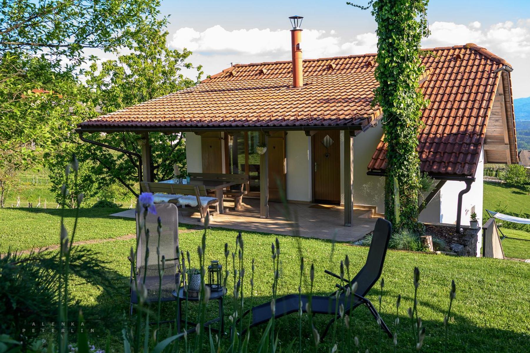 Vineyard Cottage Klemencic Novo Mesto Zewnętrze zdjęcie